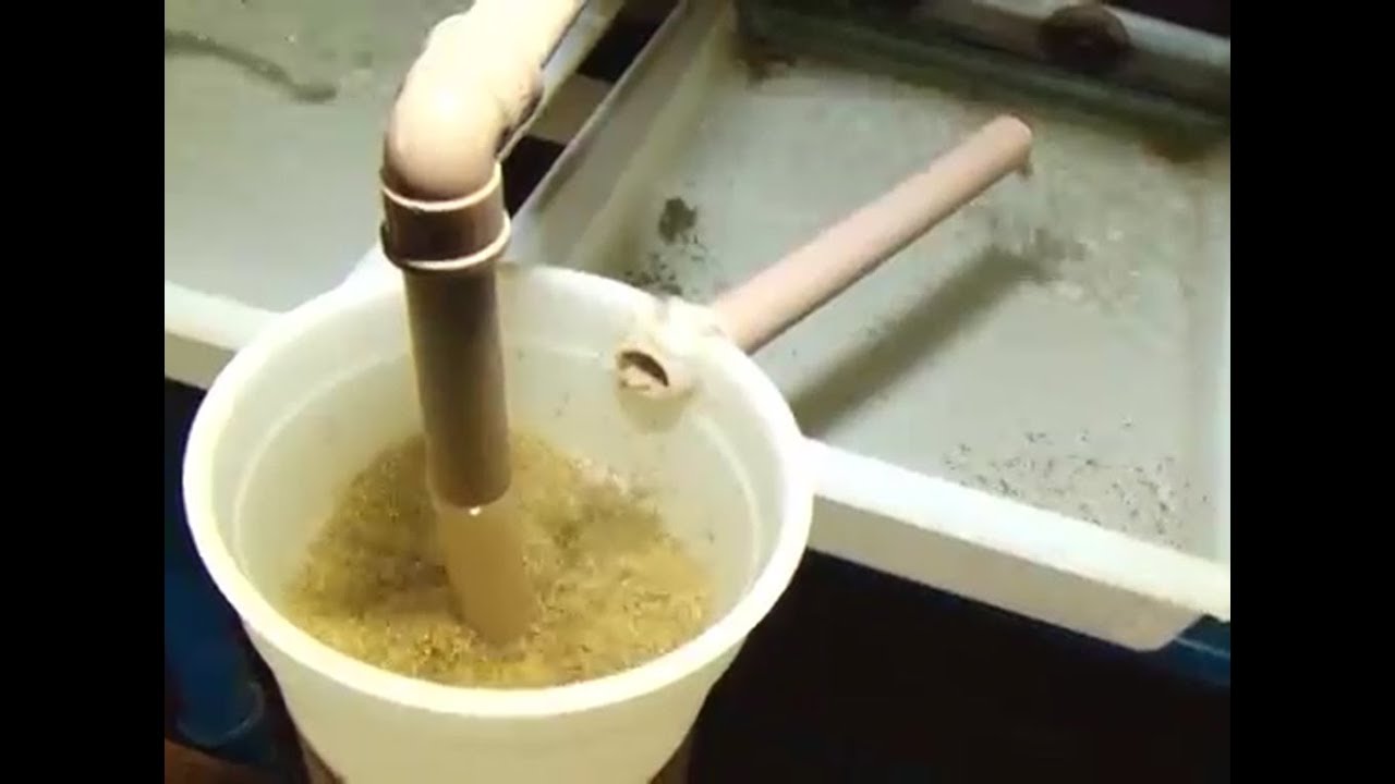 Técnicas de reprodução de alevinos para piscicultura