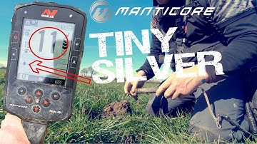 Minelab Manticore | Metal detecting, LOW NUMBERS for silver