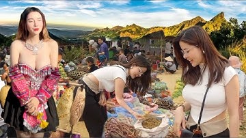 CHỢ PHIÊN VÙNG CAO NGƯỜI HÀ NỘI KÉO NHAU LÊN TÌM MUA DƯỢC LIỆU QUÝ HIẾM ĐÔNG CHƯA TỪNG THẤY