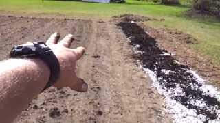 Adding compost and shredded paper to the garden