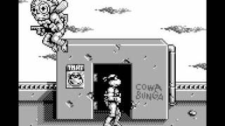 Teenage Mutant Ninja Turtles II Back from the Sewers ASI (20328
