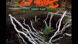 2.5 gallon zz plant ZZ Plant – Hey Rooted