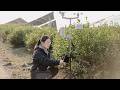 Live: Unveil the mysteries of meteorological observation