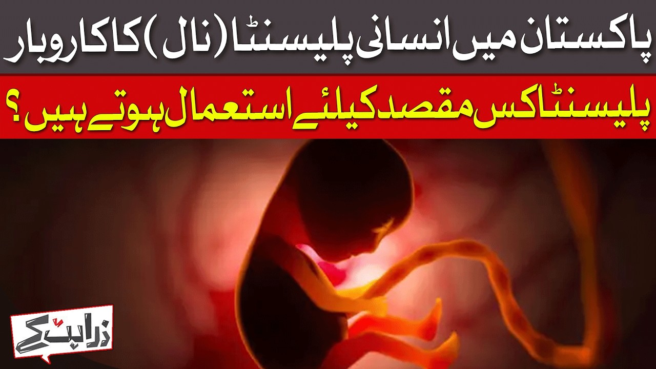 The Human Placenta Trade In Pakistan: Shocking Truth Revealed