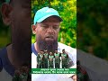 সোহানকে সুযোগ দেওয়ার জন্য নির্বাচকদের ধন্যবাদ, টিম অনেক ভালো হয়েছে- রাজিন সালেহ