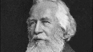 Ernst Haeckel project 