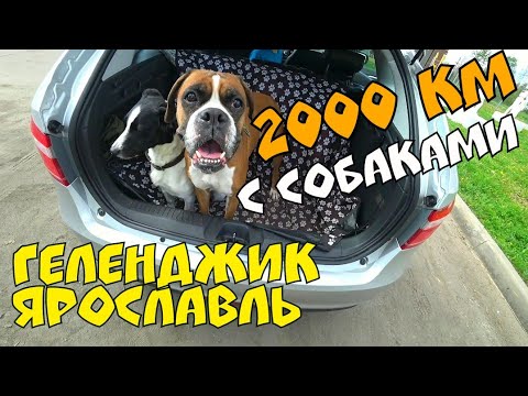 2000 км на машине 2000 км на машине