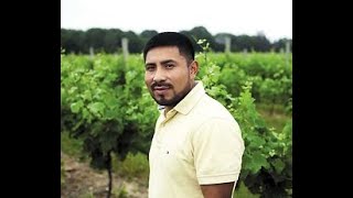STROOPWAFFLE EPISODE 29 WHITE HORSE WINERY