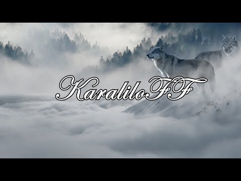 PLS&TY - Run Wild