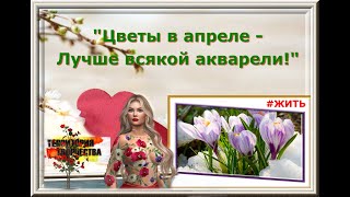 *VIP Cafe *MaSSoLiT*Цветы в апреле -Лучше всякой акварели!