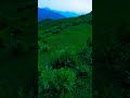 tirah valley #food #peshawardiaries #fluteinstrumental #foodtourism #nature