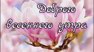 🌺Доброго Весеннего Утра🌺 Музыкальная Открытка 💕