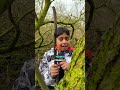 Explore with Aneeshwar || Nature’s wonder || Elf cups ||