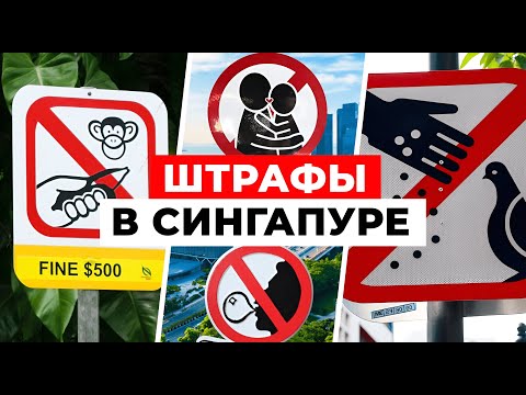 ТАКОЕ ВОЗМОЖНО ТОЛЬКО В СИНГАПУРЕ! За что МОЖНО ЛЕГКО получить ШТРАФ?| Сингапур. Часть 3