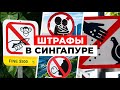 ТАКОЕ ВОЗМОЖНО ТОЛЬКО В СИНГАПУРЕ! За что МОЖНО ЛЕГКО получить ШТРАФ?| Сингапур. Часть 3