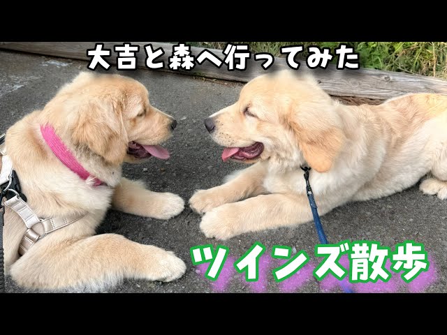4-month-old twins] We all went deep into the forest - YouTube