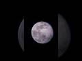 Midnight stargazing hits different! #moon #youtube #youtubeshorts #viral #viralvideos #astronomy
