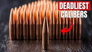 TOP 7 DEADLIEST Calibers for Rifles! – #1 Will Shock You!