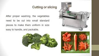 Power Point Presentation on Processing of Frozen Cut Vegetables - English