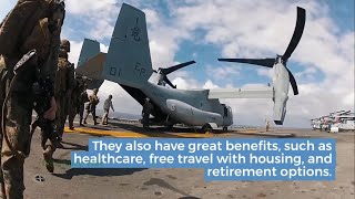 US Navy SEAL Salary - Job Requirements & How to Become a SEAL