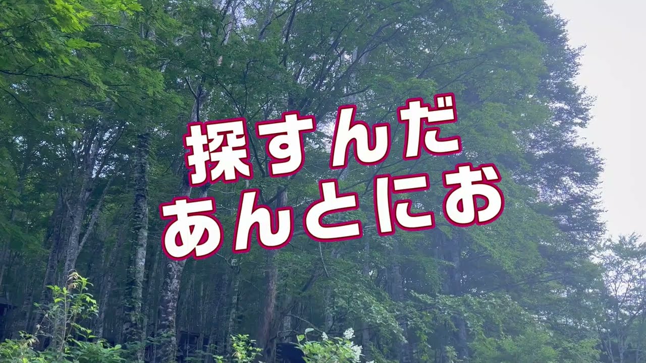 0705 今朝のアカショウビンの様子