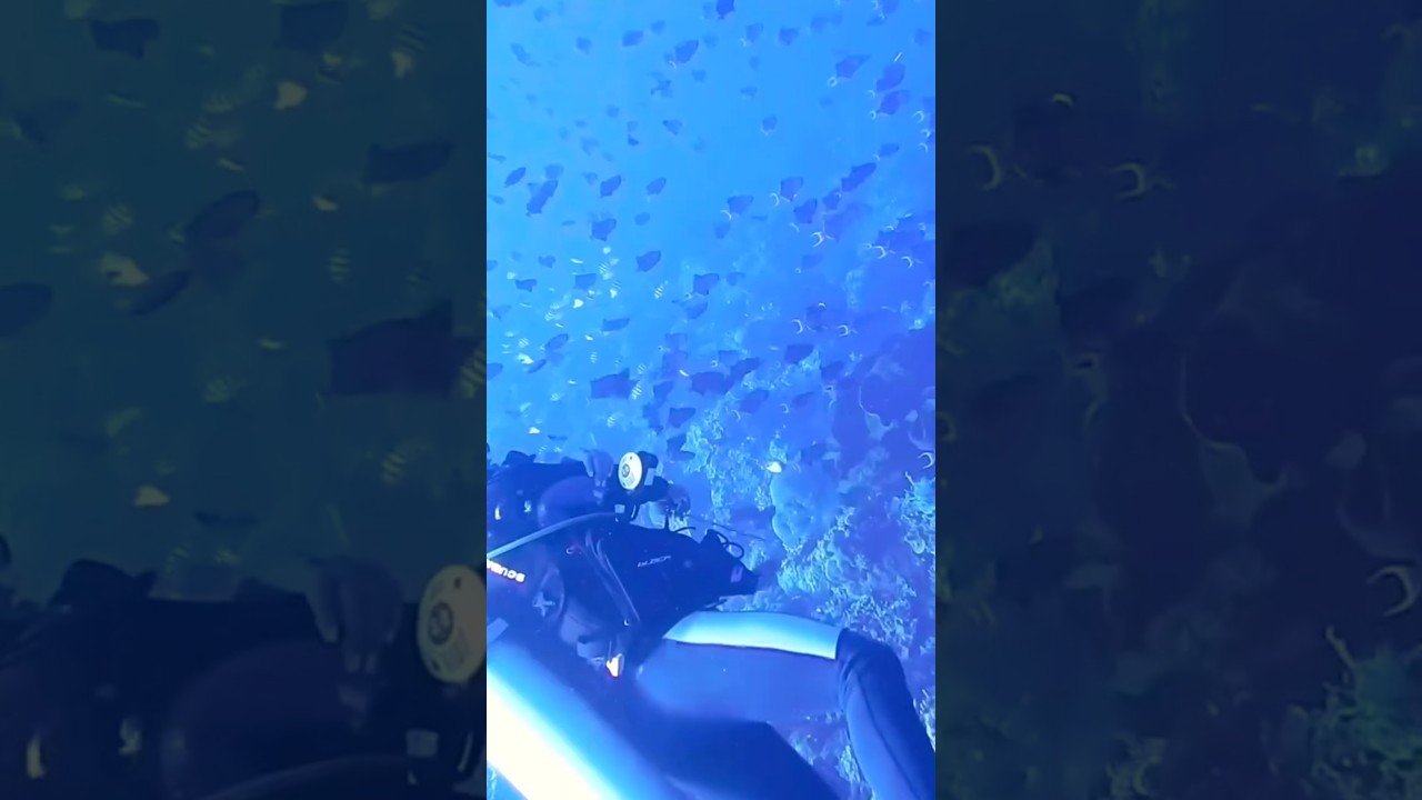 Lakshadweep Diaries 🌴 | India’s Hidden Tropical Paradise ✨ 