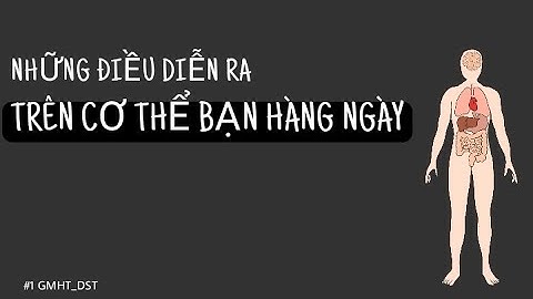 1GMHT| NHỮNG ĐIỀU DIỄN RA TRÊN CƠ THỂ BẠN HÀNG NGÀY_DST