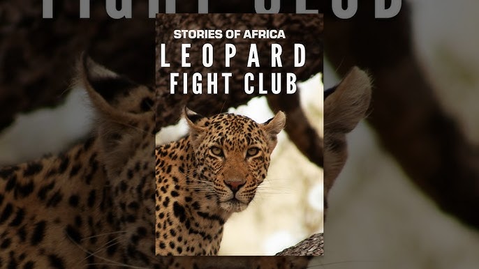 Bir jinsli sherik bilan jinsiy aloqa orzu kitobi Rus porno eng yaxshi