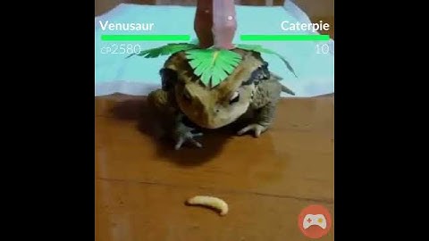 Real Life Pokemon GO Battle! *VENUSAUR VS CATERPIE* Super Realistic Augmented Reality AR Mode
