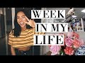 WEEKLY VLOG | WHAT I DID + BOUGHT + WORKOUT WITH ME