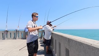 Caught A Giant From A Pier pier Fishing