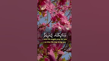 القران الكريم #اكسبلور #everyone #foryou #لايك #الرحمن #القران_الكريم ،#القران_الكريم #حالا #المصحف