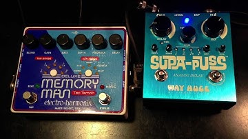 Electro Harmonix Deluxe Memory Man Tap vs Way Huge Supa Puss Analog Delay