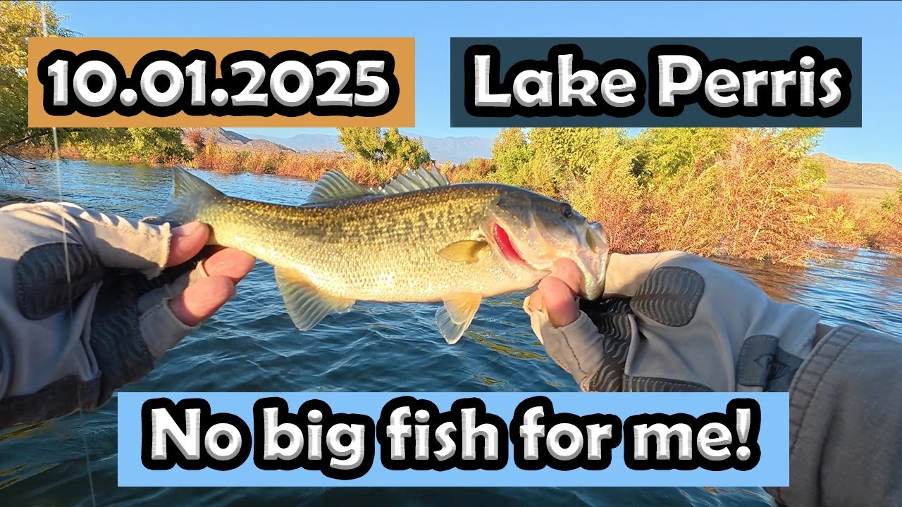 Lake Perris Bass Fishing: 2 fish! No big fish.  #lakeperrisfishing #zmanfishingproducts #bassfishing