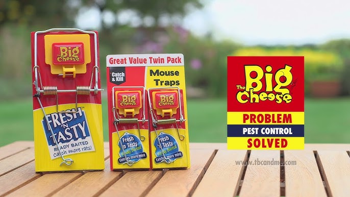 Big Cheese Baited Mouse Traps Twin Pack