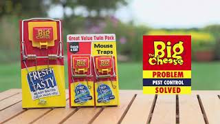 Ralph Yates & Sons  The Big Cheese Quick Click Mouse Trap 3 pack