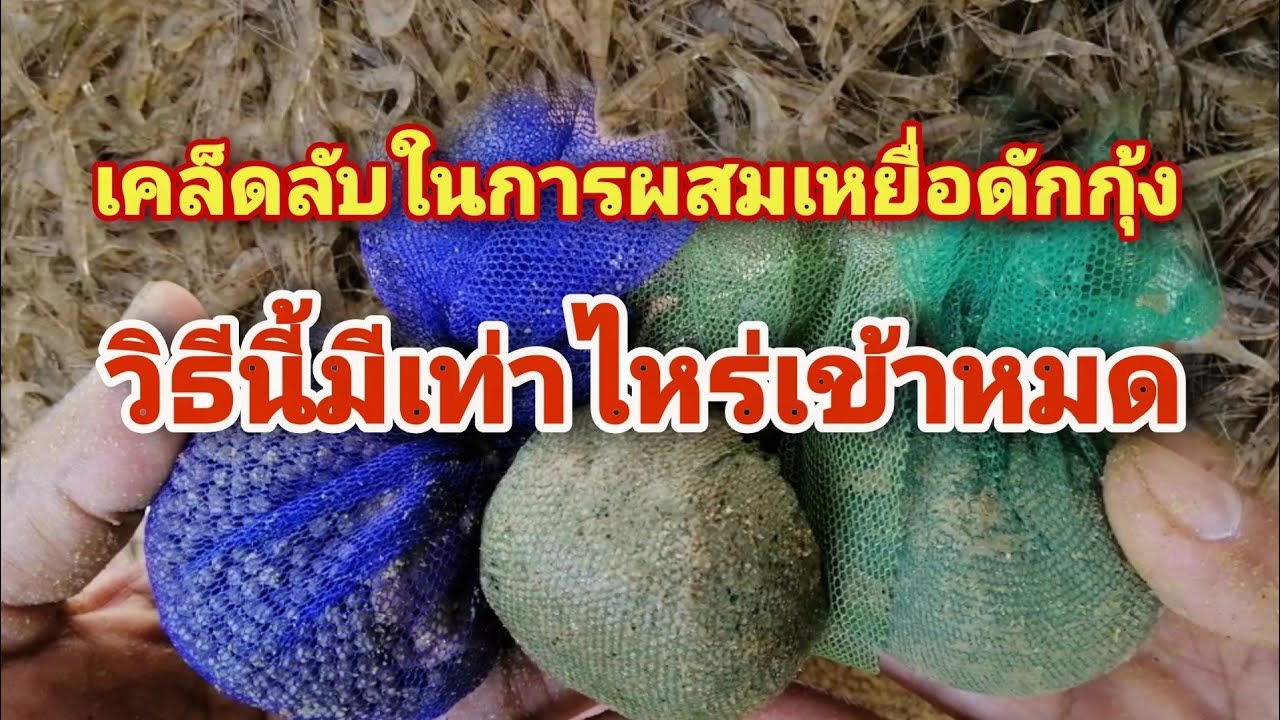 EP.247 เคล็ดลับในการผสมเหยื่อดักกุ้ง..ใช้วิธีนี้..มีเท่าไหร่เข้าหมด