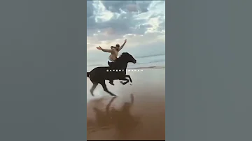 الخيل الاصيل اناشيد بدون موسيقى حالات واتس اب 
