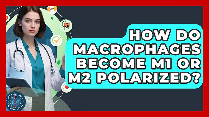 How Do Macrophages Become M1 Or M2 Polarized? - All About the Immune System