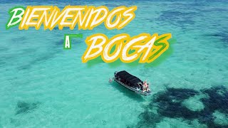 Video thumbnail of "Liwy - Bienvenidos a Bocas (Official Music Video)"