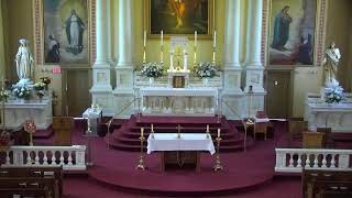 Daily Mass 2026-05-15