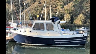 Trusty 23   Oystercatcher