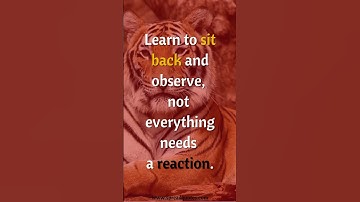 Learn to sit back and observe, not everything needs a reaction. | #shorts