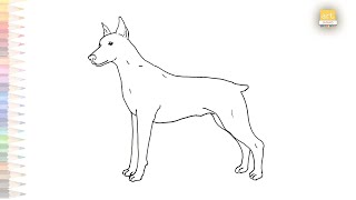 Doberman dog outline sketch | How to draw easy drawing Doberman dog | step by step drawing tutorials