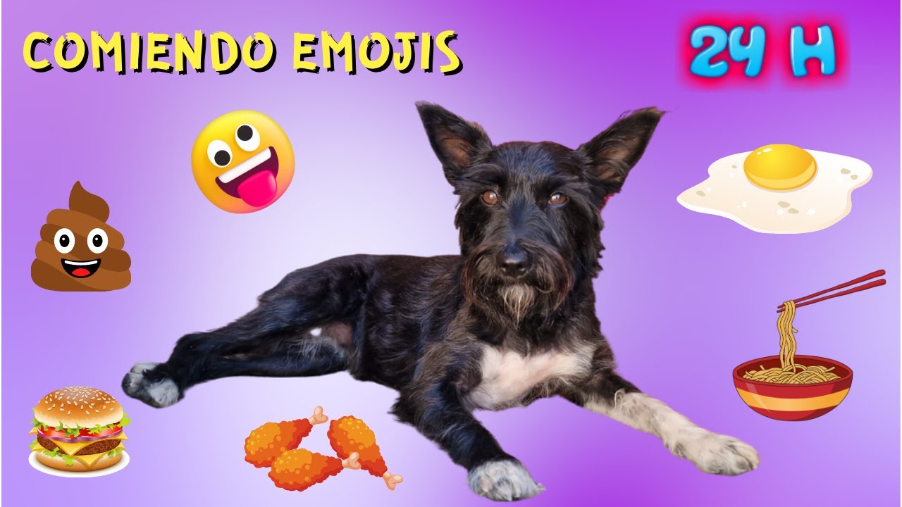 24 HORAS COMIENDO EMOJIS! Lana