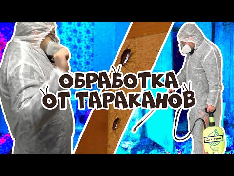 Обработка от тараканов