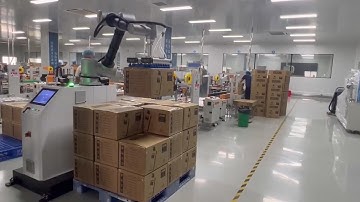 Warsonco High Speed Palletizing Robot
