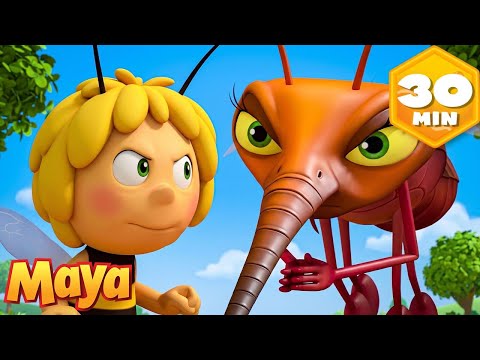 Maya salva la pradera de los mosquitos gigantes 🦟🐝 La Abeja Maya | Recopilación | Animados