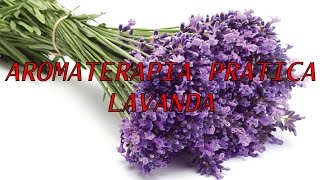 Aromaterapia Pratica - Lavanda