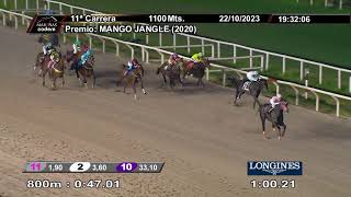 Vidéo de la course PMU PRIX MANGE JANGLE (2020)